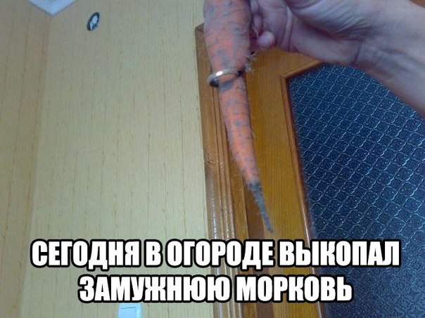 Картинки разные из сети