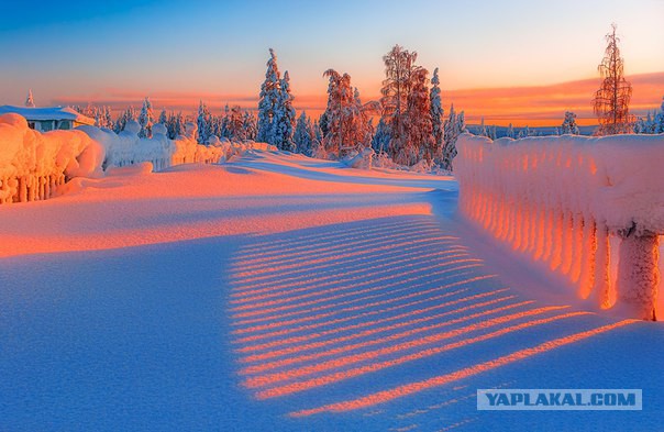Полярная ночь в Мурманске