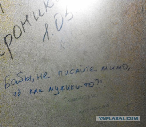 Бессмысленные и беспощадные объявления, вывески и реклама