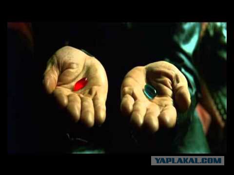 Реки Велна и Нельба пересекаются под прямым углом и не смешиваются