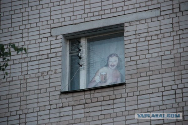 Подборка веселых и прикольных фото