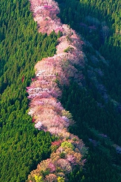 Картинки для отдыха глаз