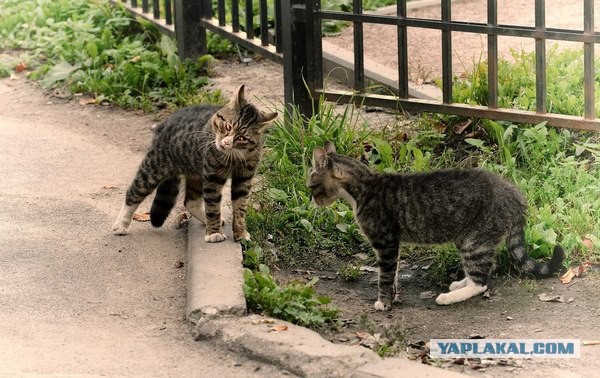 Бесконечность