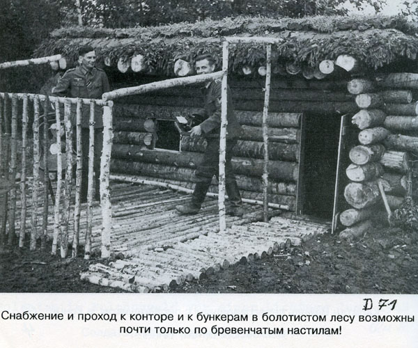 Волховский фронт. 1942. Взгляд с той стороны.