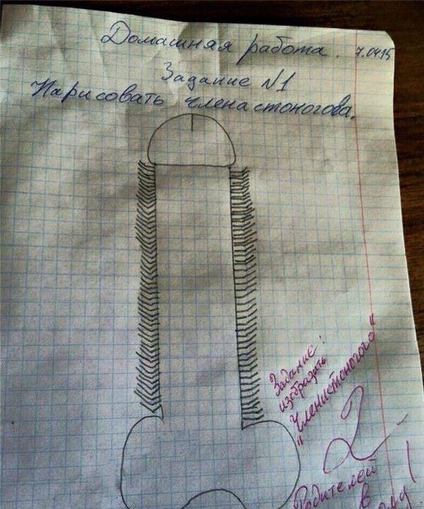 Проверяя задания, учителя плакали от смеха…
