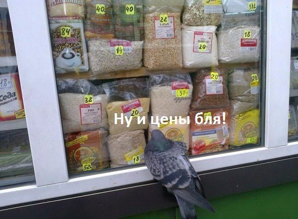 Подборка безудержного веселья