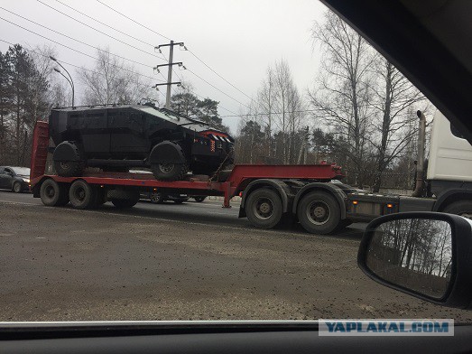 В Крым приехали «Фалькатусы» ФСБ
