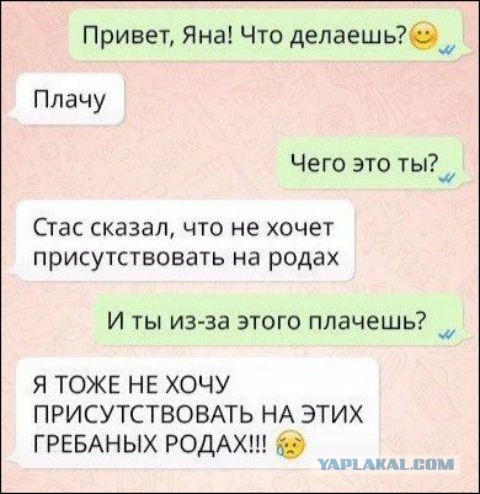Юмор социальных сетей
