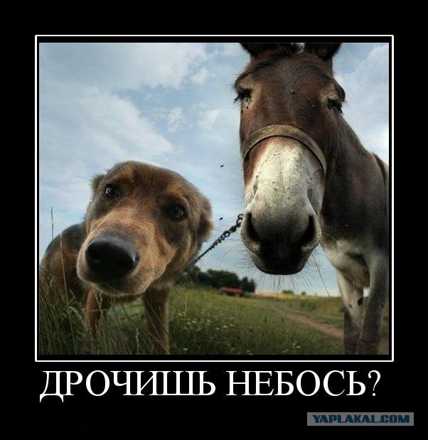 Барышню Поклонскую давно пора подвергнуть психиатрической экспертизе