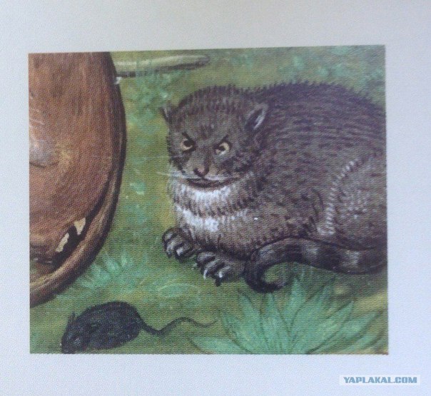 Средневековые картины, которые могут охарактеризовать нашу жизнь