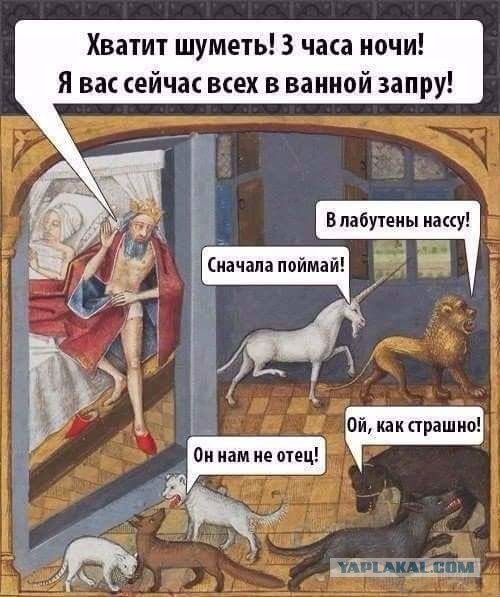 20 шикарных фотографий, в которых вся суть котов