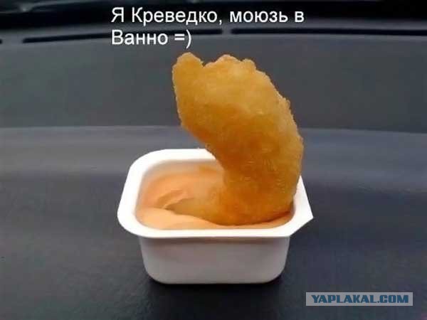 Зайчег