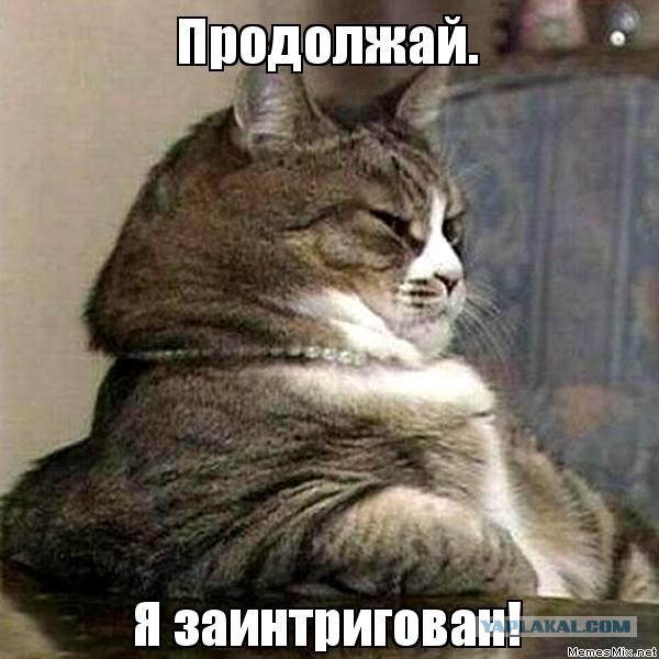 Трамп официально объявил о введении пошлин на импорт стали и алюминия