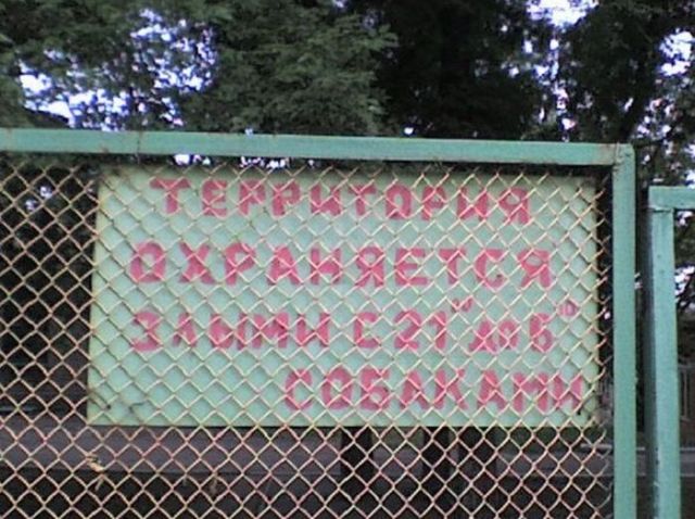 Нестандартный юмор