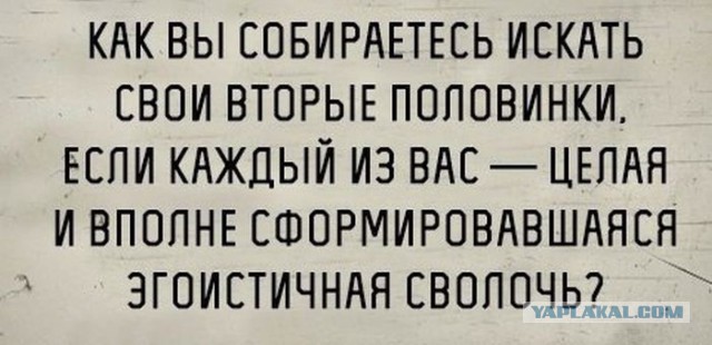 Ну и вот зачем мне теперь жена? Мысли дальновидного холостяка