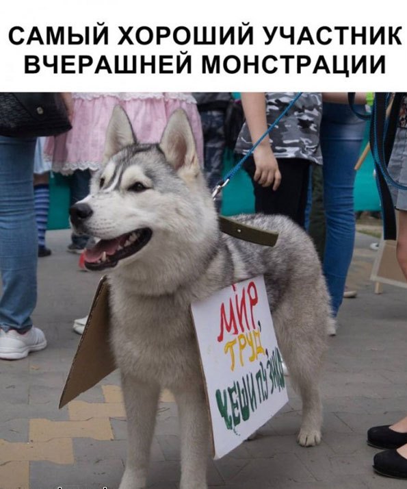 Картинок немного 02.09.20