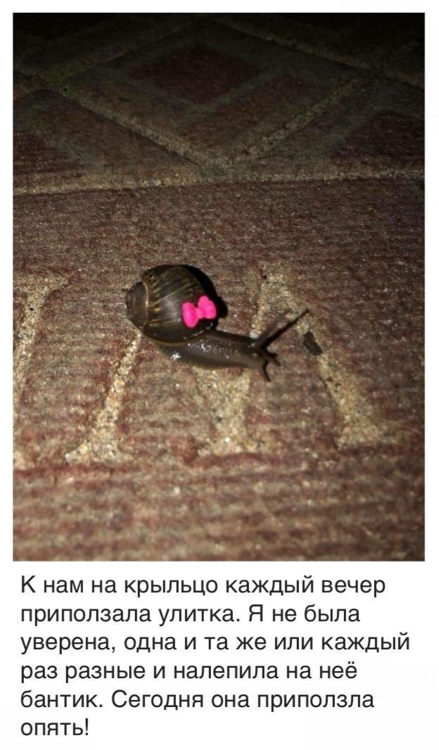 Пятничные "Опять 25" 18.12.2020