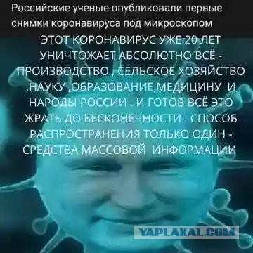 Гибнет все живое: в Воронежской и Липецкой областях – экологическая катастрофа