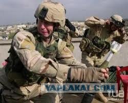 Недолгая свобода мыша