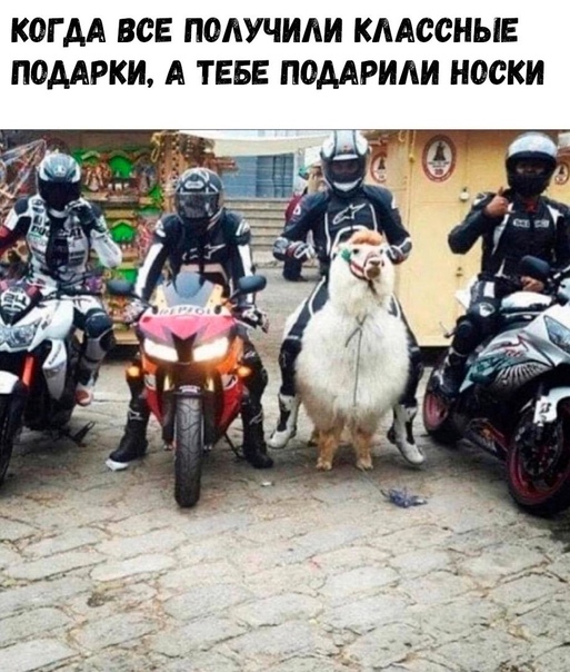 Весёлый полтишок 20.10