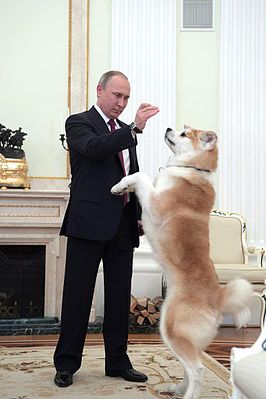 Песков с Мединским, в отставку!