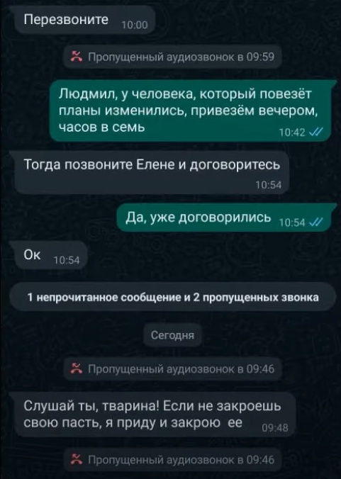 В Воскресенске волонтёр избила фотографа из-за комментария под фото с котиком