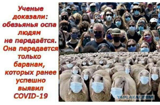Пандемия съехавших крыш. Разновидности болезни. Россия и мир. Часть 36