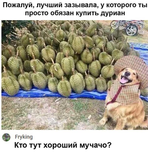 Скриншоты и комментарии из социальных сетей 23.08.22