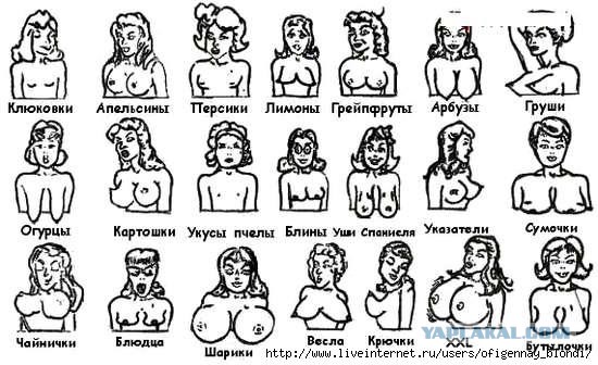 45 фактов о женской груди!