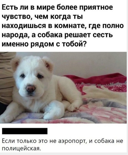 Бессистемная подборка 3