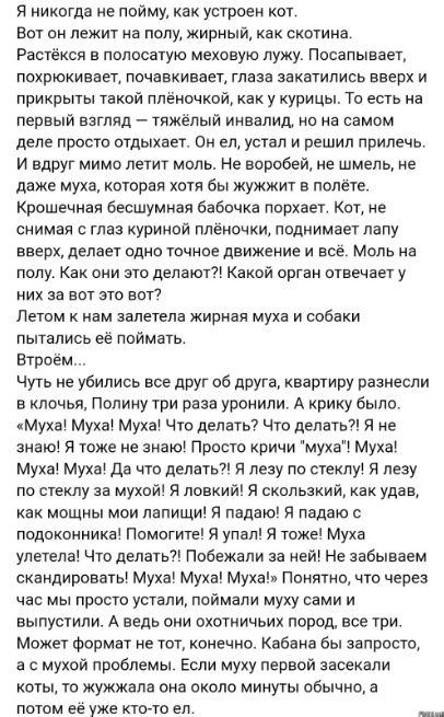 Так себе картинки 04.06.23