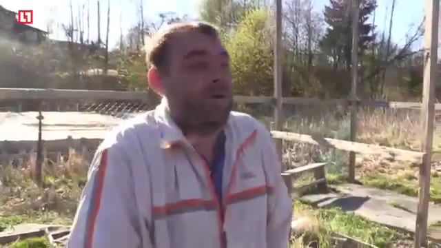 Привет администрации Химок хочу передать!
