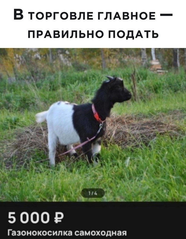 Так себе картинки 24.05.24