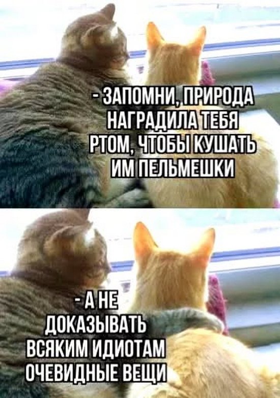 Посмеялся сам - поделись с другом!!!