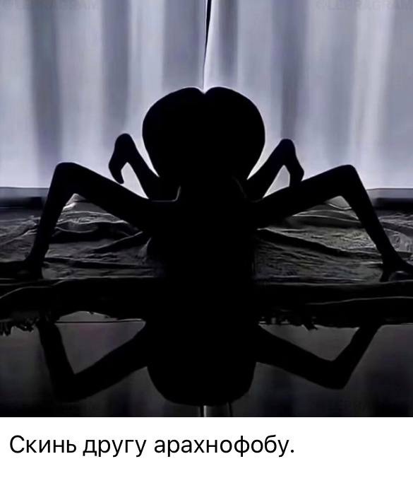 Всякое разное.