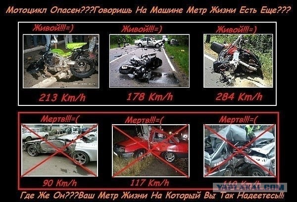 Жаль молодых.