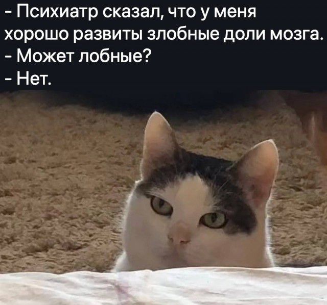 У россиян массово диагностируют психические расстройства, — врачи
