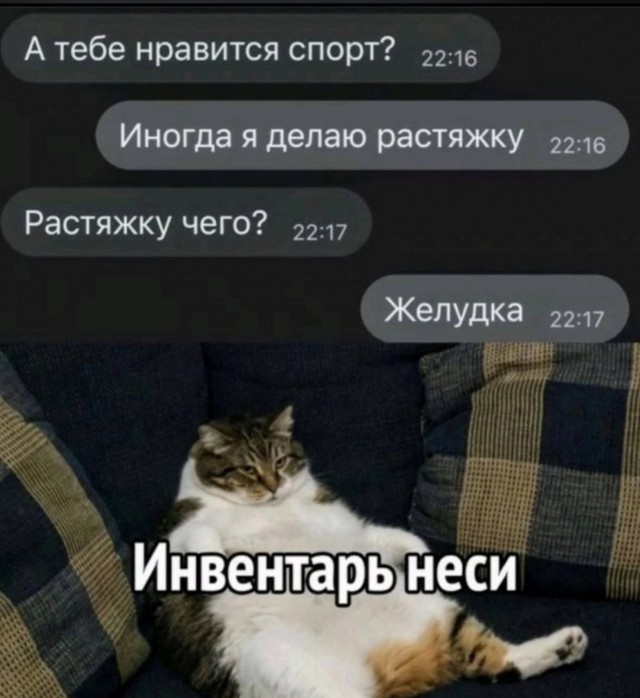К котовторнику: подборка картинок-баянов с котиками и про котиков. Выпуск 8