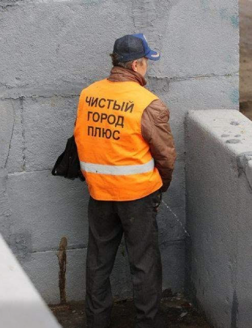 20339646.png