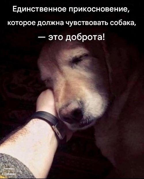Прикольные и просто красивые картинки