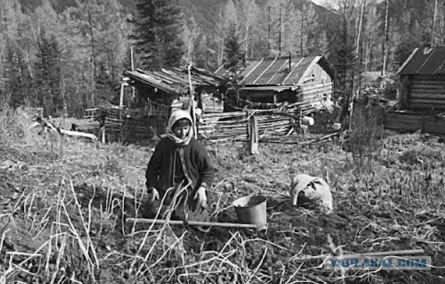 Продукты сходить купить тоже… 900 рублей!