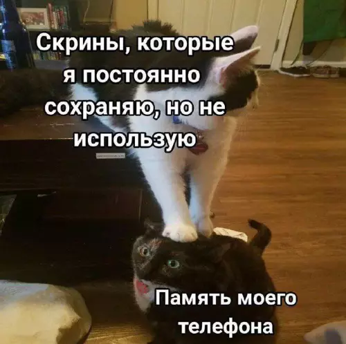 Картиночки, баянчики 12 марта