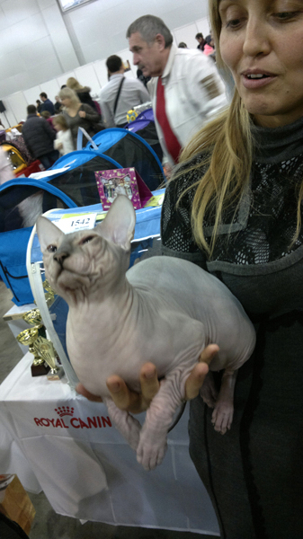 Всё, мне походу пистец!