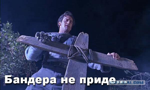Десяток карикатур