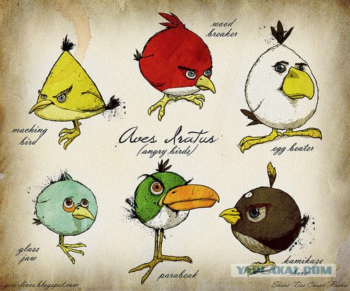 Angry Birds в реальной жизни