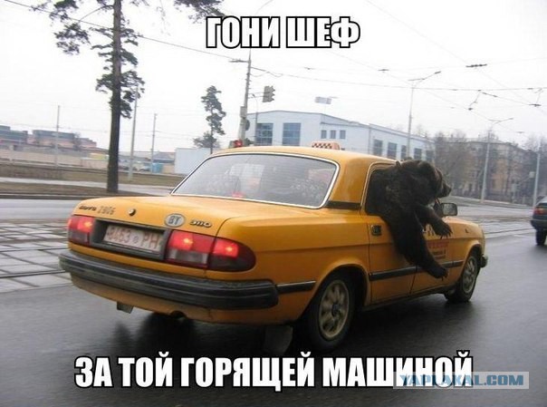 У Ламбо забомбило