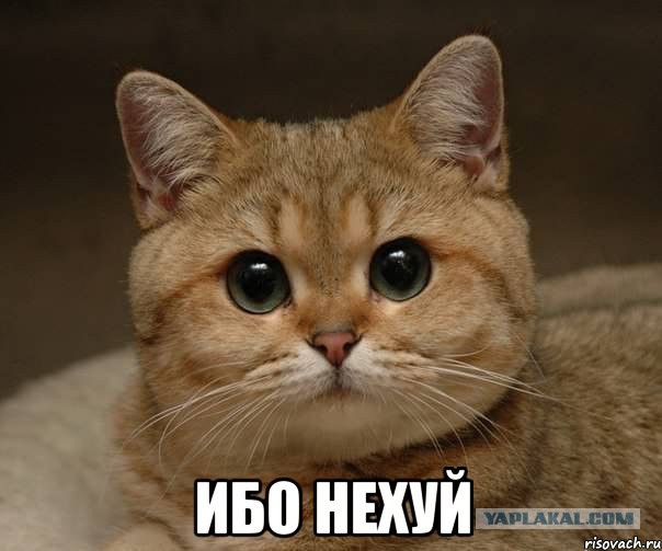Про карму