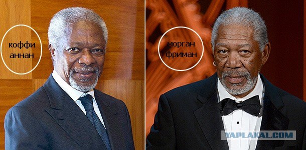 Вечно молодой, вечно пьяный