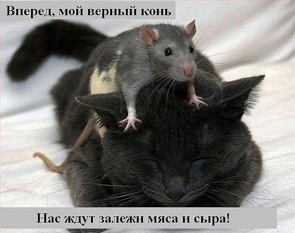 Подборка картинок