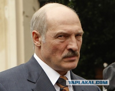 Белорусский воробей